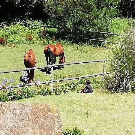 Nyaraló T1 Na Casa Da Quinta S Jose Praia de Mira