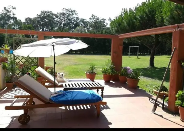 Hébergement de vacances T1 Na Casa Da Quinta S José Praia de Mira