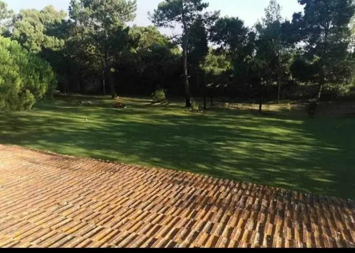 Hébergement de vacances T1 Na Casa Da Quinta S José