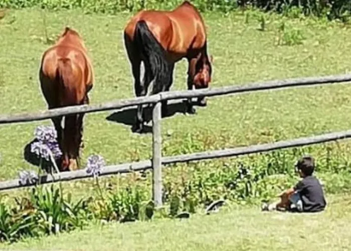 T1 Na Casa Da Quinta S José * Praia de Mira